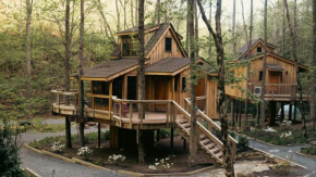 The Poplar in Treehouse Grove at Norton Creek Gatlinburg